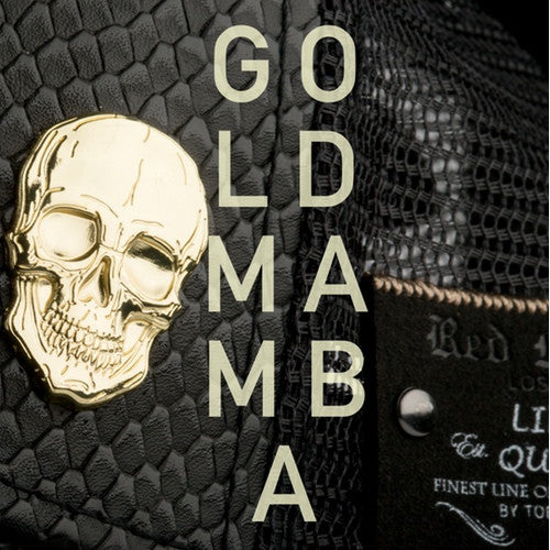 Mamba Returns